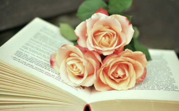 4 wiarygodne poradniki o seksie